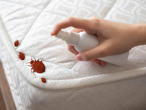 Best Affordable Pest Control Services  in Nottingham, PA