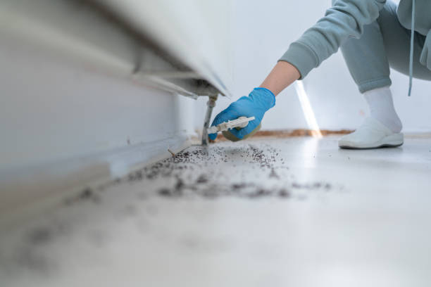 Professional Pest Control in Nottingham, PA